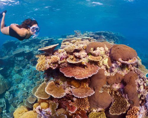 australian great barrier reef