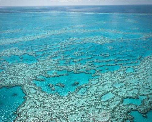 great barrier reef australia