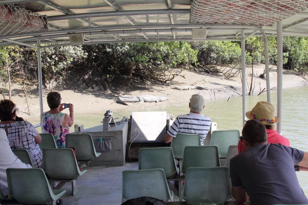 Whitsunday Crocodile Safari 1 tours day trip crocodile safari