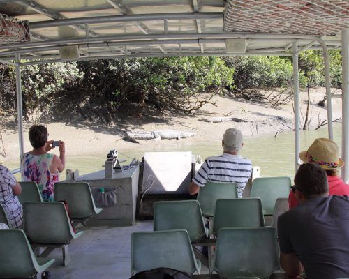 tours day trip crocodile safari