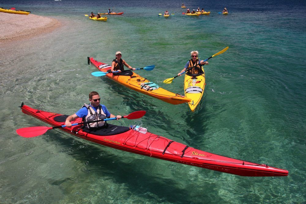tours day trip salty dog