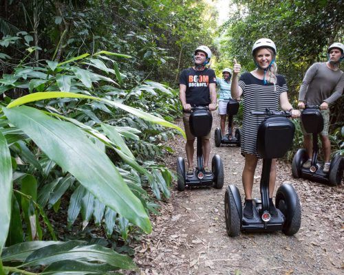 tours day trip segway rainforest