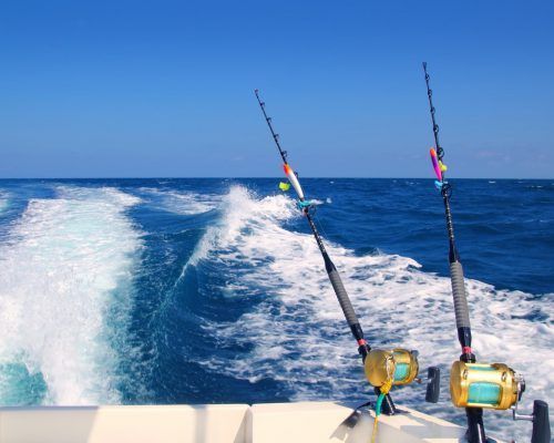 tours fishing whitsunday fishing 3