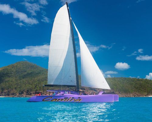 tours whitehaven beach camira