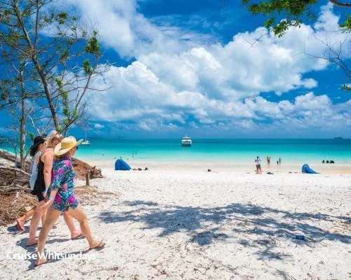 tours whitehaven beach cruise whitsundays half day