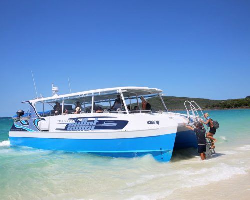 tours whitsundays bullet